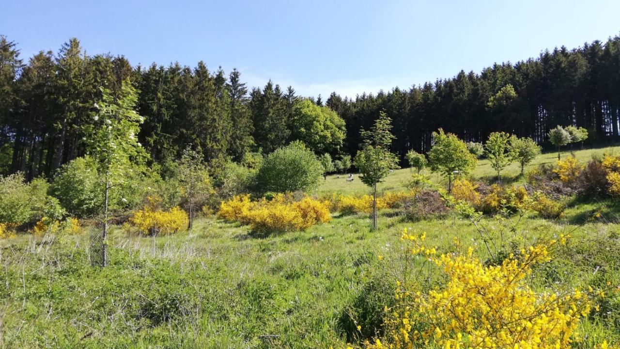 Eifel-Ferienhaus Marga Prüm Exteriör bild